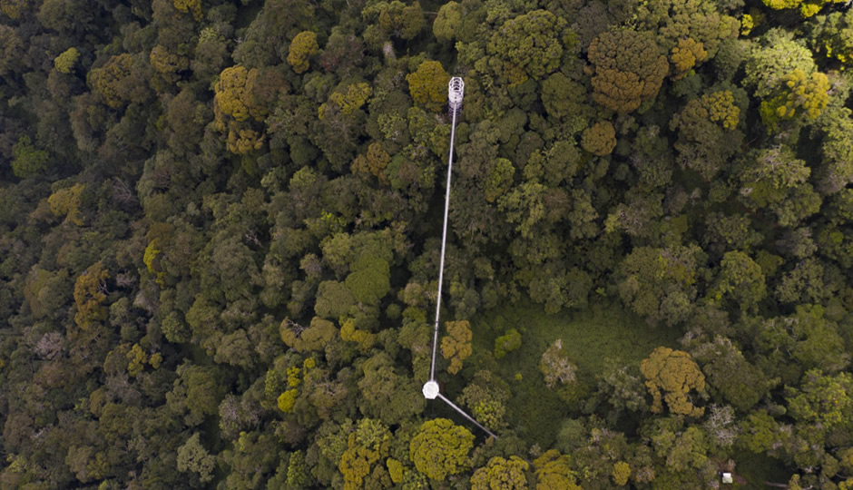 NYUNGWE NATIONAL PARK now has its own Canopy Walk